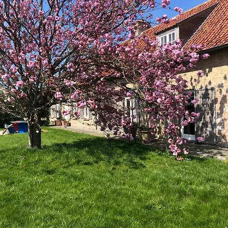 Wellinghoeve Holiday home *